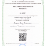 КА налогового консультанта - Кокарев Игорь Валерьевич