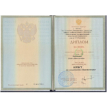 Диплом - Лопатин Денис Николаевич