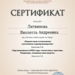 Сертификат - Литвинова Виолетта Андреевна