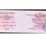 Диплом кандидата наук Рябовой - Рябова Евгения Игоревна