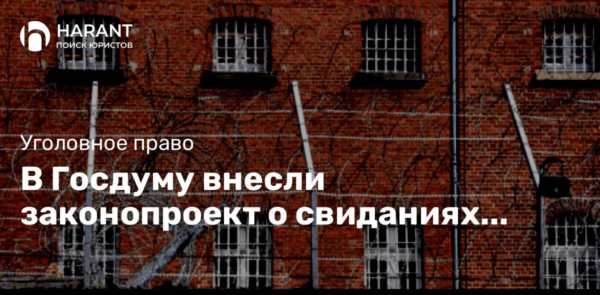 В Госдуму внесли законопроект о свиданиях заключенных и защитников по видеосвязи