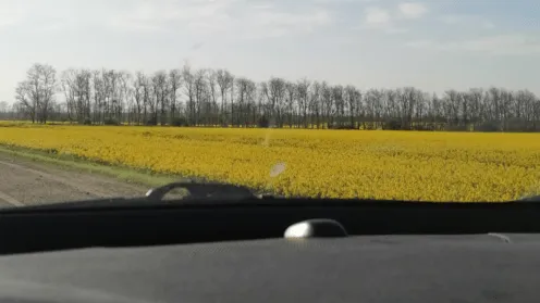 Путешествуем семьёй