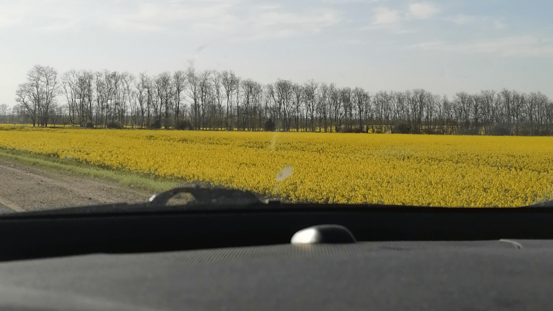 Юрист Красикова Маргарита Викторовна объясняет: Путешествуем семьёй