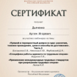 Сертификат - Дьяченко Артем Игоревич
