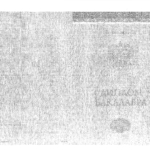 Диплом - Попова Нелли Павловна