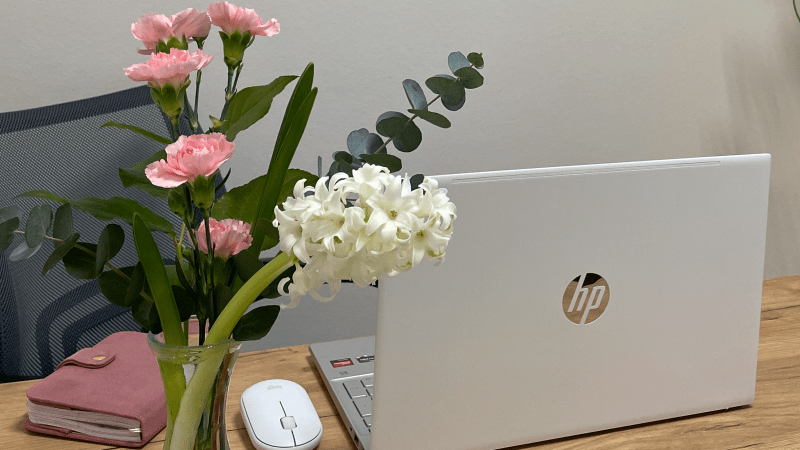 Юрист Османова Сабина Ровшан кызы объясняет: Юридическая консультация. За что я плачу?