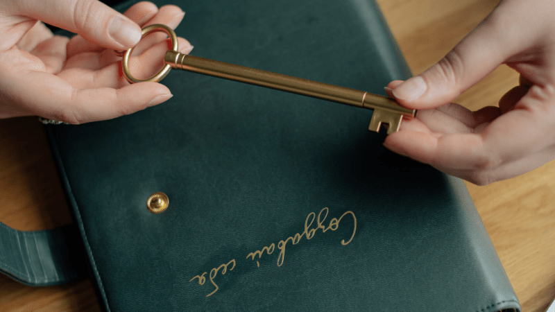 Юрист Османова Сабина Ровшан кызы объясняет: Помощь малому бизнесу