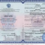 Диплом МГУ Экономика - Зипунников Дмитрий Александрович
