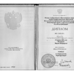 Диплом - Рылькова Марина Викторовна