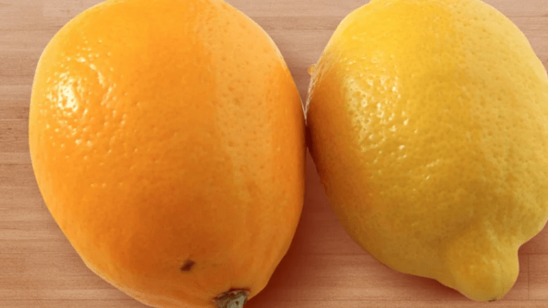 Юрист Замараев Алексей Сергеевич объясняет: Справка