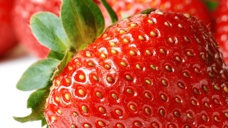 Юрист Замараев Алексей Сергеевич объясняет: Право европейского союза