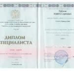 Скан диплома Ерёмин Н.С - Ерёмин Никита Сергеевич