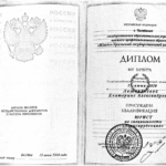 Диплом: юургу, 2010 — Чуева Е.А.