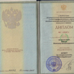 Диплом: Владивостокский государственный университет экономики и сервиса, 2006 — Юров М.В.