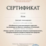 Сертификат 1 - Илли Дмитрий Александрович