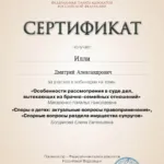 Сертификат 1 - Илли Дмитрий Александрович
