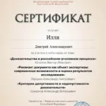 Сертификат 2 - Илли Дмитрий Александрович