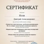 Сертификат 3 - Илли Дмитрий Александрович