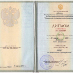 Диплом - Желудова Анна Григорьевна