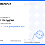 Сертификат 2 - Желудова Анна Григорьевна