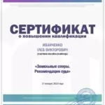 Институт адвокатуры. Повышение квалификации. 17.01.2023 - Иванченко Глеб Викторович