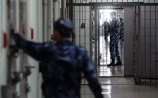 Адвокат Скрипкина Елена Петровна объясняет: Заключенным стали разрабатывать личные программы социализации