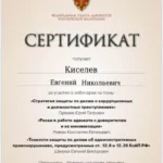 Сертификат 2 - Киселев Евгений Николаевич