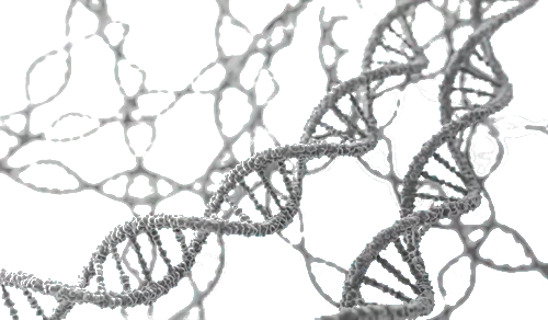 Адвокат Притулин Роман Валерьевич объясняет: Использование ДНК-генеалогии в раскрытии преступлений прошлых лет. Правовые аспекты