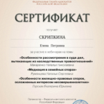 Сертификат 13 - Скрипкина Елена Петровна