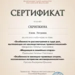 Сертификат 13 - Скрипкина Елена Петровна