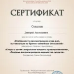 Сертификат повышения квалификации - Соколов Дмитрий Анатольевич