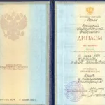 Диплом о высшем образовании - Бурылов Андрей Васильевич