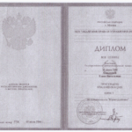 Диплом - Алексеева Елена Витальевна