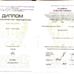 Диплом - Алексеева Елена Витальевна