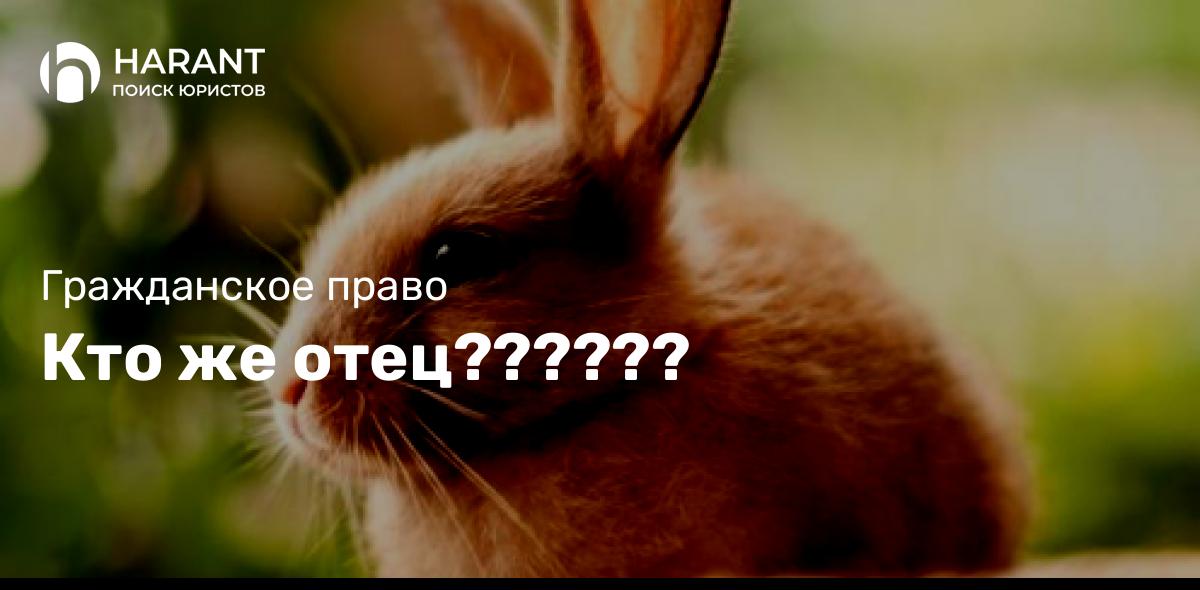 Кто же отец??????