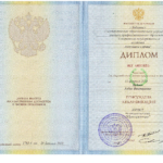 Диплом - Селивонова Алёна Викторовна