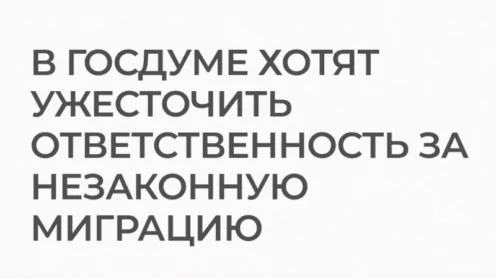 В Госдуме планируют ужесточить ответственность за незаконную миграцию