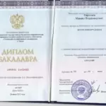 Диплом бакалавра - Парконен Михаил Владимирович