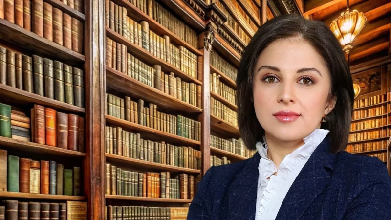 Адвокат Салманова Севилья Рафаэлевна объясняет: Приставам разрешили применять оружие и спецсредства