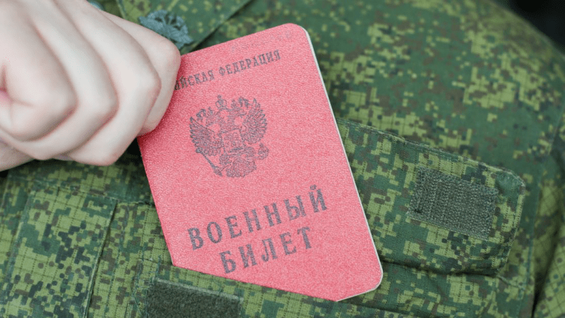Адвокат Худадян Диана Витальевна объясняет: Отсрочка от армии не сработает ?!
