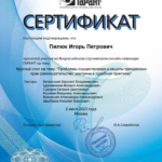 Сертификат - Пилюк Игорь Петрович