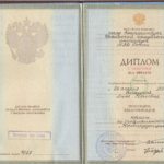 Диплом - Решетникова Анна Юрьевна