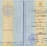 Диплом ТюмГУ - Аникин Анатолий Анатолиевич