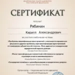 Сертификат 2 - Рябинин Кирилл Александрович