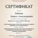 Сертификат 4 - Рябинин Кирилл Александрович