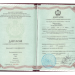 Диплом - Мирошников Эдуард Анатольевич