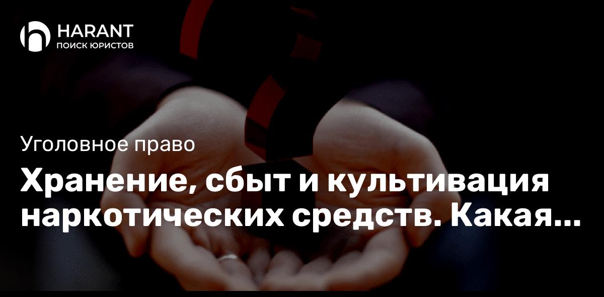 Хранение, сбыт и культивация наркотических средств. Какая ответственность по закону