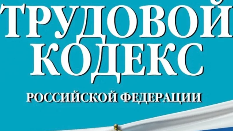 Юрист Мандрова Дарья Дмитриевна объясняет: Защита трудовых прав