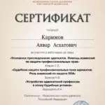 Сертификат 4 - Каримов Анвар Асхатович