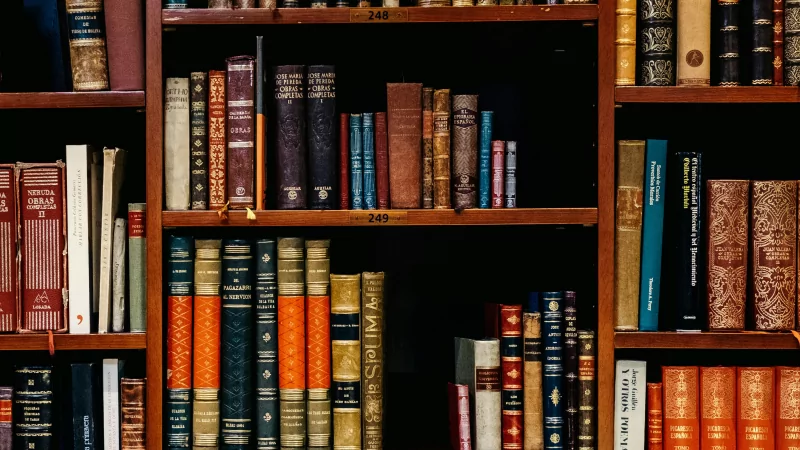 Расторжение брака в судебном порядке. Почему через ЗАГС не всегда можно